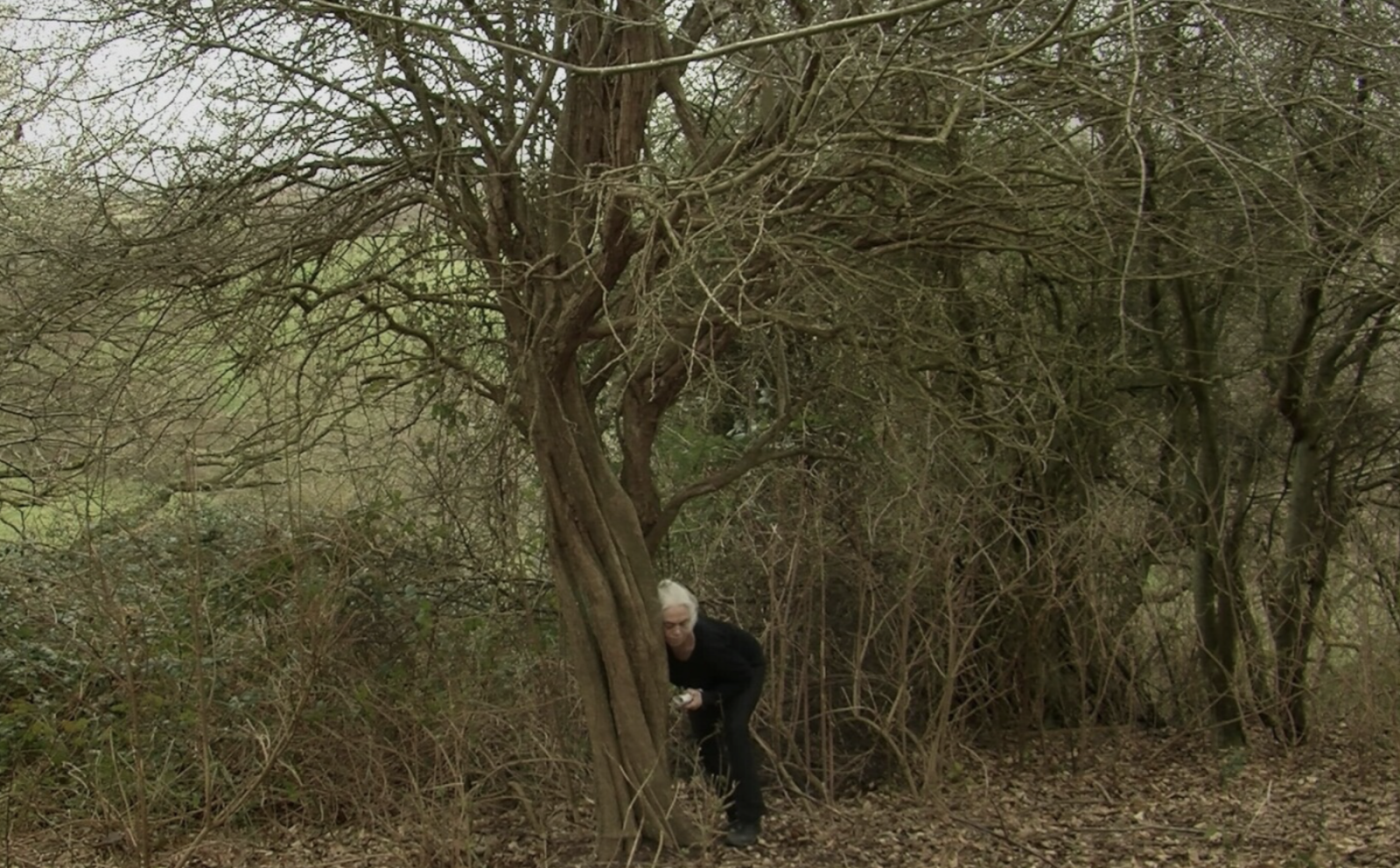 Love on the Bramble Path